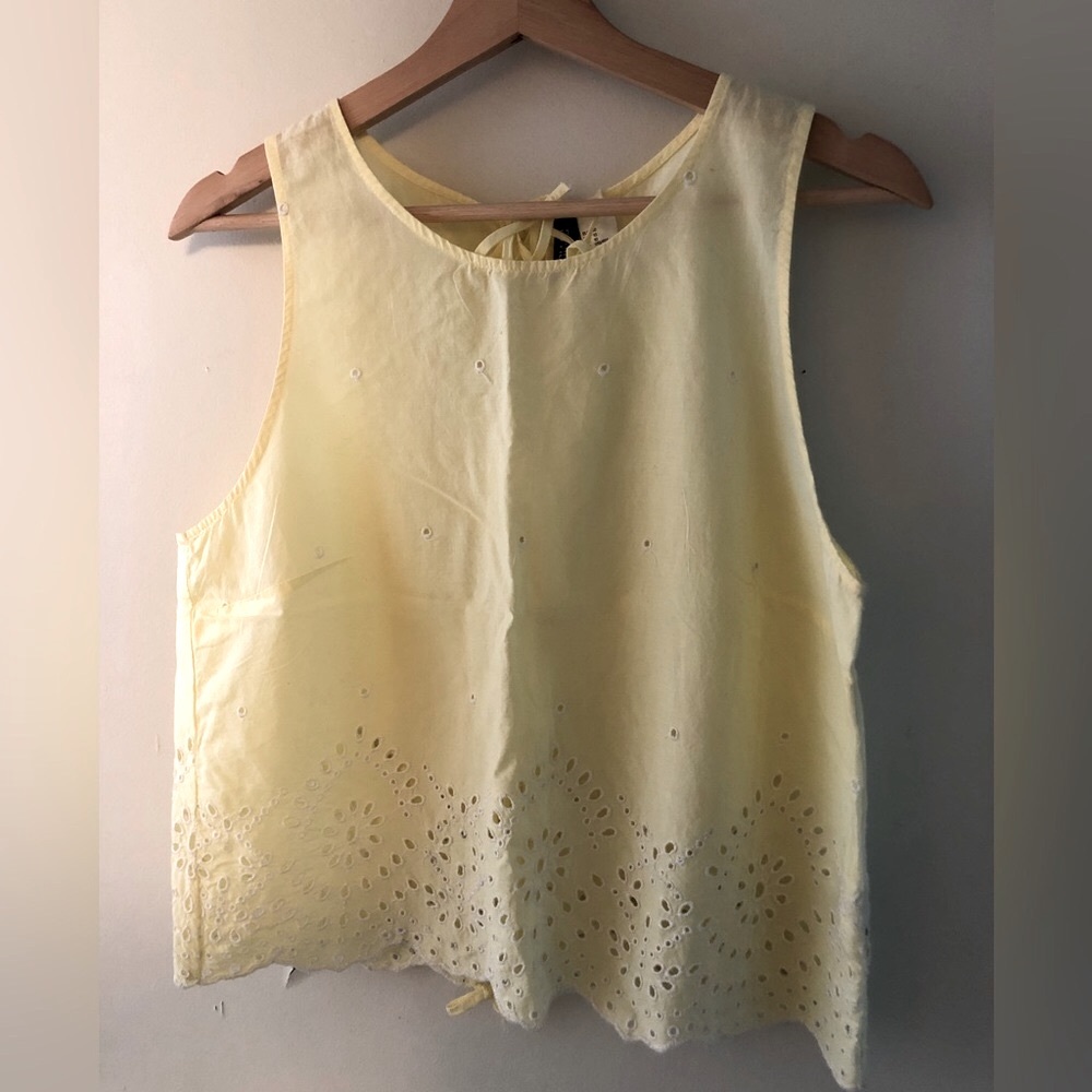NWOT H&M Divided cropped eyelet cotton top